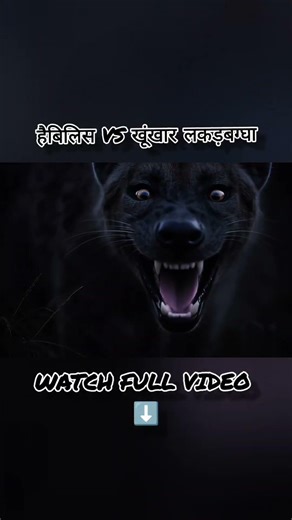 हैबिलिस vs खूंखार लकड़बग्घा | Primal Survival Short #Shorts