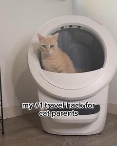 10K views · 867 reactions | Upgrade your home cleaning game in 2024!  Introducing Litter-Robot 4 - the messy cat litter problem solved. Order now & keep your home happy & purrfectly clean!  | Litter-Robot by Whisker | Facebook