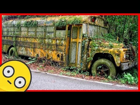 Abandoned School Bus Found in the Woods… What’s Inside is Creepy! #bus #schoolbus #busvideo