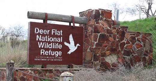 A deeper look into the history and present of Deer Flat National Wildlife Refuge
