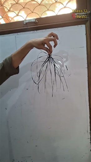 Electrostatics #physics #teaching #science #experiment