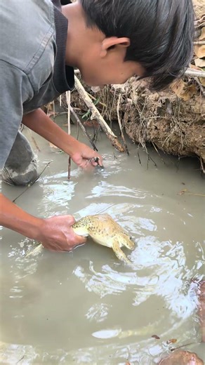Catching frogs and catching roaches in the stream