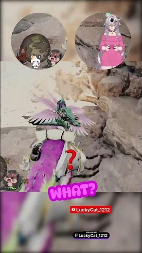 Monster Hunter Streamer Gets Absurdly TOUCHED By a Beetle!