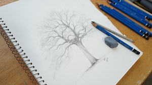 Drawing Deciduous Trees: Pencil Drawing Practice | Kristina Moyor | Skillshare