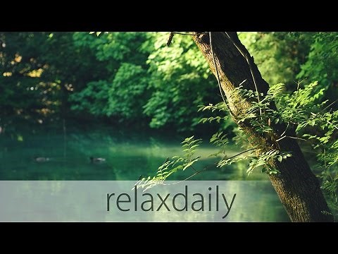 Instrumental Music - for studying, relaxing, meditation - N°001 (4K)