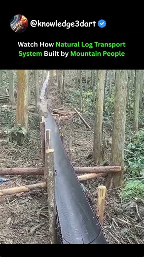 Watch How Natural Log Transport System Built by Mountain People