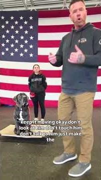 Struggling With Dog Training? You Might Need This Approach 👀 #dogtraining #dogcoach