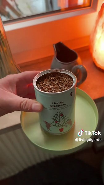 Aus einer kleinen Dose wird ein echter Weihnachtsbaum! 🌲✨ Schau zu, wie aus ein paar Samen ein mini Tannen-Abenteuer startet. Wer hätte gedacht, dass Weihnachten so… sprießt? 🎄🥹 #christmas #tree #growyourown #flyingtiger #flyingtigercopenhagen