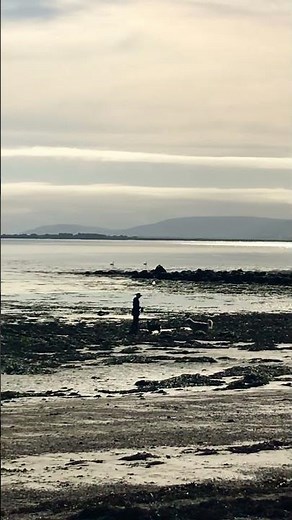 U2 - Beautiful Day (Official music video)