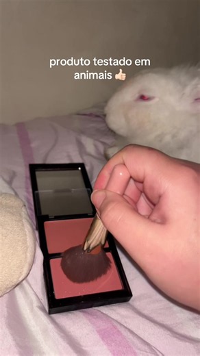 ele aprovou #bunny #fyp #fyppppppppppppppppppppppp #pet #funnypets | coelho