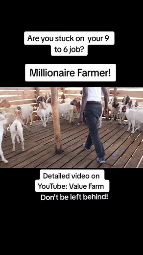 Value Farm: The Real Deal for Profitable Farming