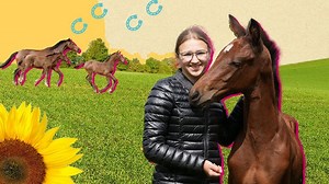 Mein Pferdesommer: Süße Fohlen: Lia auf dem Pferdehof 🐴😍