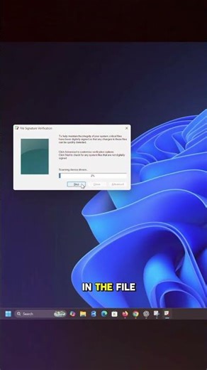 Verify Windows File Signatures Easily