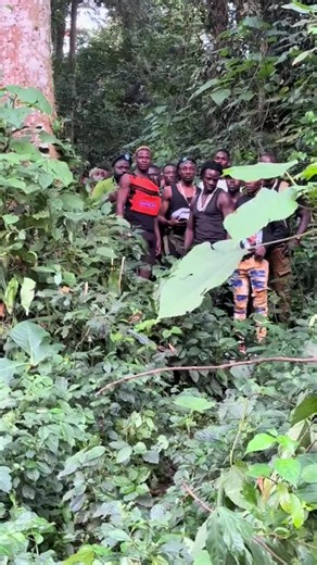 Alien wa baby J 🫵 👽✔️ (@baby.j.skin)’s videos with original sound - ELLY.KEY🎶