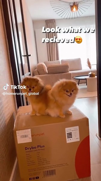 "Every dog deserves their own drying box, complete with drying capabil...