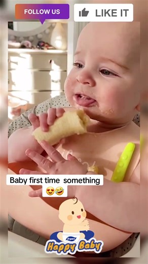 Baby's First Encounter with a Spider | Cute Baby Challenge