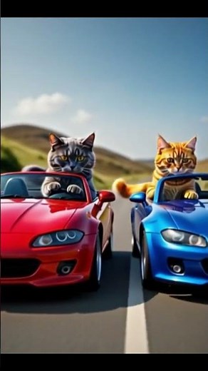 When Cats Discover Speed