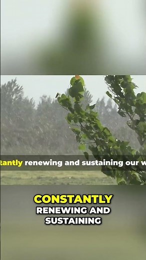 The Water Cycle: Nature's Amazing Journey Explained #shorts