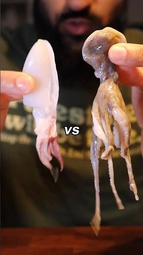 Octopus vs Squid...Tastiest Tentacle?