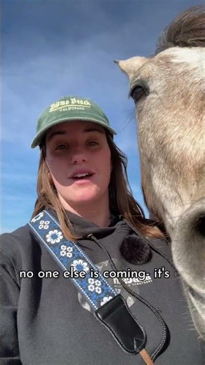 30 HOURS LEFT to save mustangs from the kill buyers who will ship them…