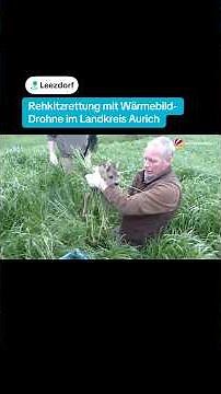 Fawn rescue using a thermal imaging drone in the Aurich district