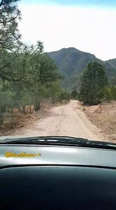 741K views · 13K reactions | Pura vida, pura vida珞 | Tellez Sierra | Facebook