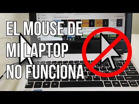 MY LAPTOP MOUSE/TOUCHPAD IS NOT WORKING/LOCKED