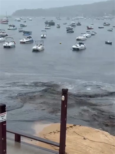 Esgoto Despejado na Praia do Canto em Búzios