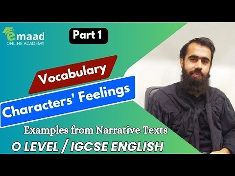 Vocabulary to describe feelings of characters