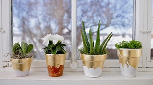 183K views · 4.9K reactions | DIY Gold Leaf Pots! ✨ | Garden Answer | Facebook