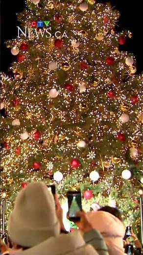 Distillery Winter Village opens with tree lighting ceremony