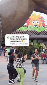 Cast members from And Juliet Broadway visited San Diego Zoo and found some wild inspiration for their ROAR! 💕 #AndJuliet #BroadwayTour #SanDiegoZoo | Broadway San Diego
