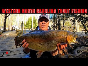 Western North Carolina Trout Fishing