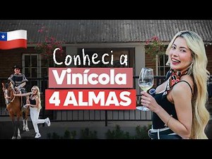 4 ALMAS WINERY IN CHILE: SUNSET, ROMANCE, WINES AND BARBECUE 🇨🇱🍷