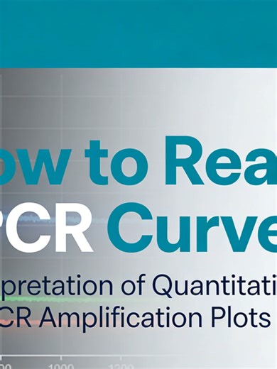 Understanding qPCR: Amplification and Melting Curves