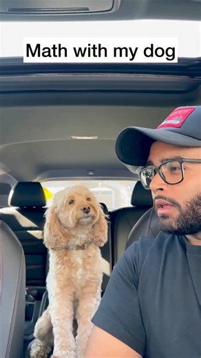 Luna The Mini Cockapoo on Instagram: "She really put some thought into these… 😳 #dogs #puppylove #minicockapoo"