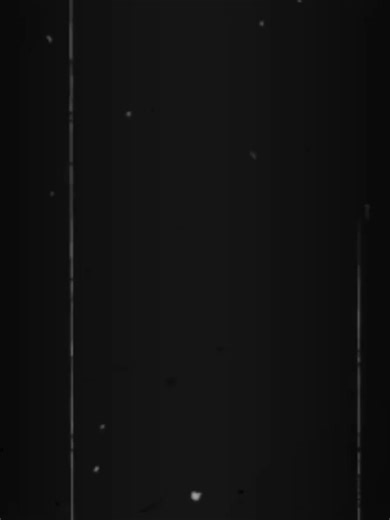 | 🥹💗 . . @ꪖᦔꪮꪻꫝꪗꪖ!🪬 @උරේෂා 🍃 @ℕ𝕚𝕞𝕒 || 🪼 @Rizadmi 🎀 @𝘼𝙈𝘼𝘼 ...♥💋 @Adithya lankesh @☠️CN KINGDOM 💀 @Poshiii🐷 @L E M A 🍋 @@A K S H A N __ I S U R U #foryou #onemillionaudition #fyppppppppppppppppppppppp #srilankan_tik_tok🇱🇰 #tiktok