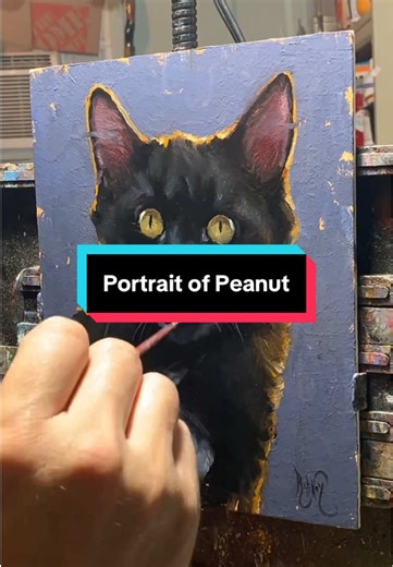 Portrait of Peanut. I’m offering 8x10in pet portraits for $125 to pay for my cat’s cancer treatments. Starting in February the price will be $150. DM if interested. My family would be so grateful for the help. ❤️ #rodneythompsonart #petportraits #allaprima #oilportrait