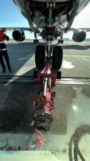 A340-600 Cargo Operations Behind the Scenes