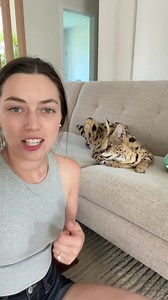 home sweet home 😻 | Chloe the Serval