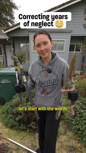 Turning yard work into content because accountability is hard 🌿😳 | Jen Mounts