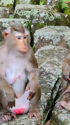 #breastfeedingbaby #cute