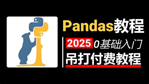 【全57集】Pandas数据分析零基础入门到精通教程，10小时速通Pandas，全程干货