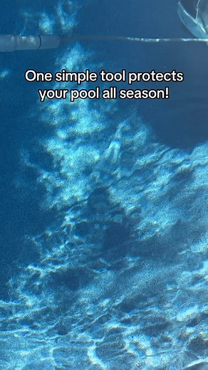 A Leaf Net Skimmer lets you scoop out leaves and debris before they sink and cause problems for your system. Protect your pump, save time, and keep your water clear all season long. ✔️ Removes leaves, bugs & debris fast ✔️ Lightweight and easy to use ✔️ Keeps your pool sparkling clean | Pool Supplies Canada