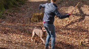 Ruff Talk: How to handle your pets 'prey drive'