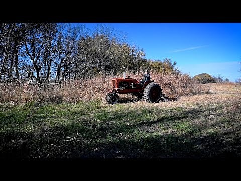 Bush Hogging - Allis Chalmers WD Tractor
