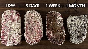 This ancient koji fungus made my steak insanely good