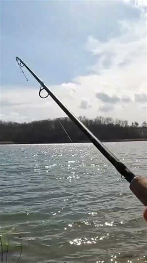 Can't See the Float #fishing #crappie