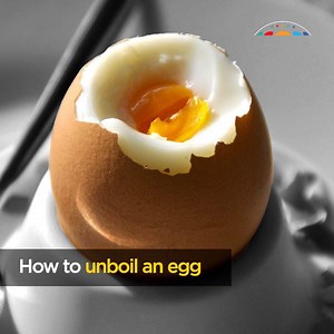 What do eggs have to do with clean, green chemistry? 🥚 | Australian Academy of Science