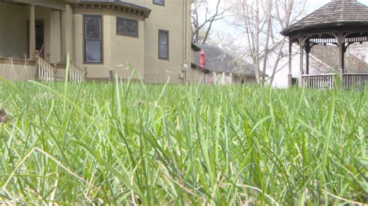 Expert advises against 'No Mow May' in Fargo